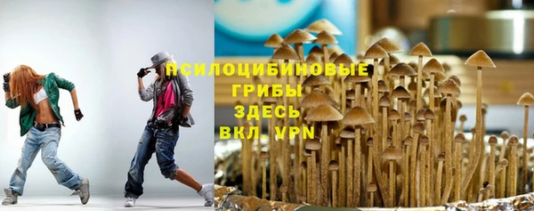 соль курить ск Алексеевка